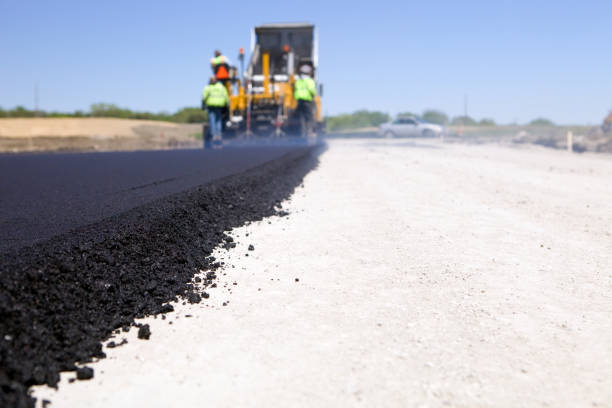 Best Residential Paver Driveway  in Grapeland, TX